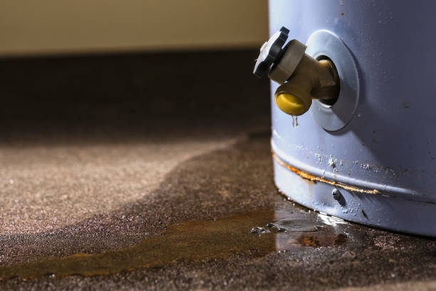Best Carpet water damage restoration  in Malverne, NY