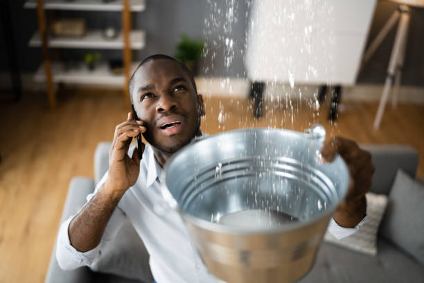 Best Basement water damage restoration  in Malverne, NY