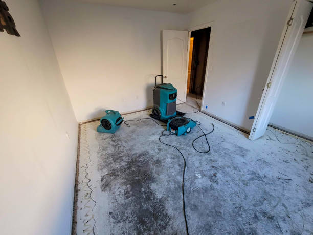 Best Residential water damage restoration  in Malverne, NY