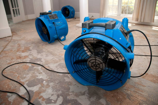 Best Local water damage restoration  in Malverne, NY