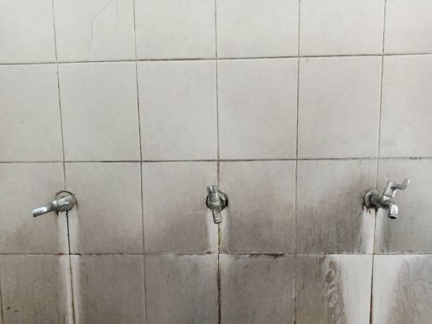 Best Professional water damage repair  in Malverne, NY